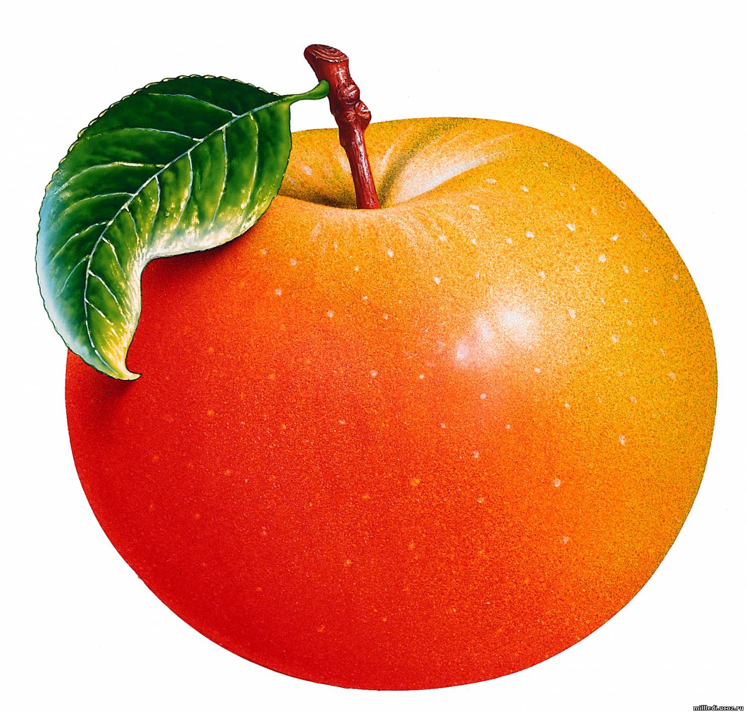Оранжевое яблоко